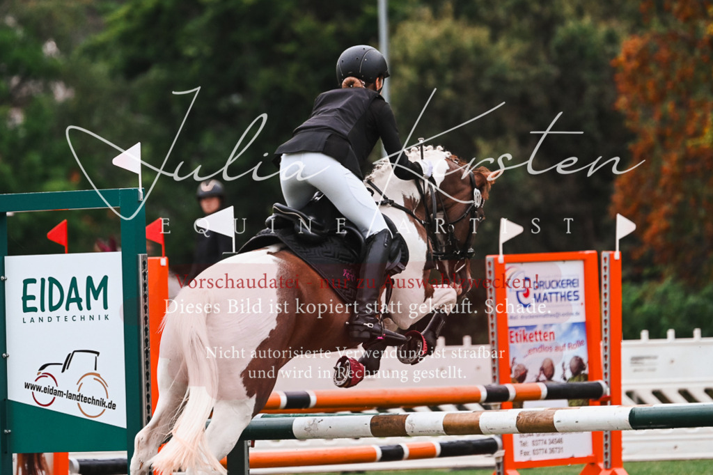 DSC_6268 | Pferde- und Turnierfotografie in Westsachsen. Pferdeportraits, Auftragszeichnungen und intuitive Kunst.