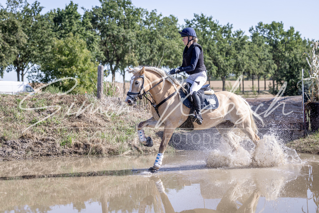 20260906-_3LI2602 | Tierfotografie Pferde, Hunde, Katzen, Haustiere.
Turnierfotografie Reitturniere, Reiten, Springreiten, Dressur in Hanau, dem Main-Kinzig-Kreis und dem Rhein-Main- Gebiet um Frankfurt