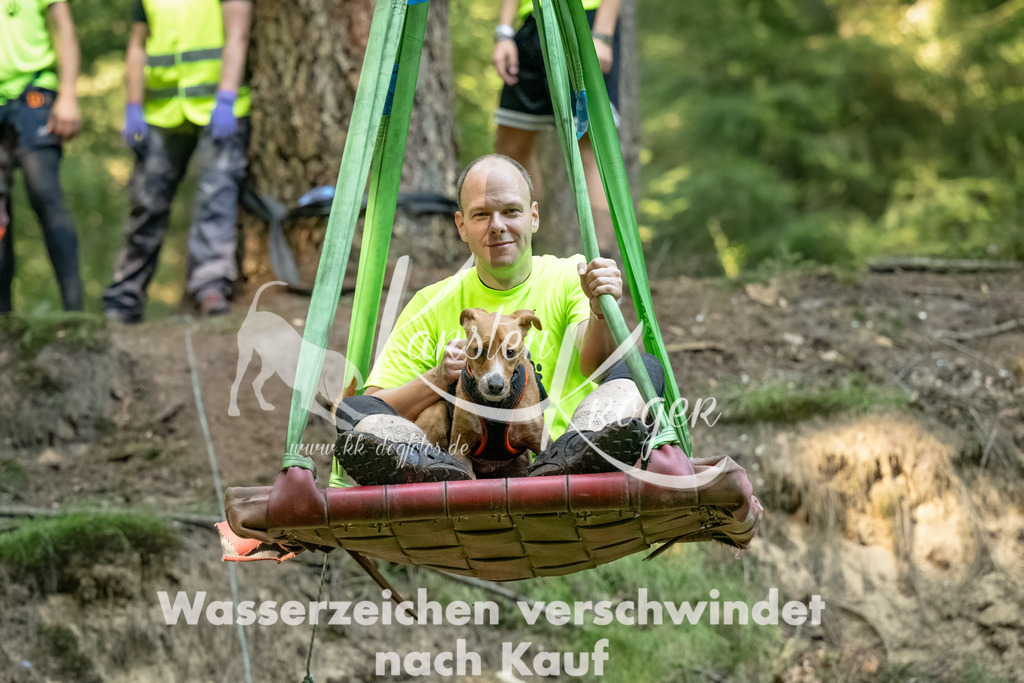 1411_ZZ94742-Bearbeitet-2 | kk-dogfotos