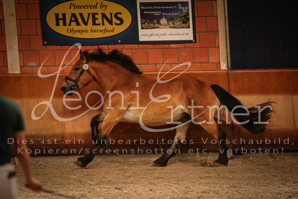 SaFL00300 | Leoni Ertmer Photography - Realisiert mit Pictrs.com