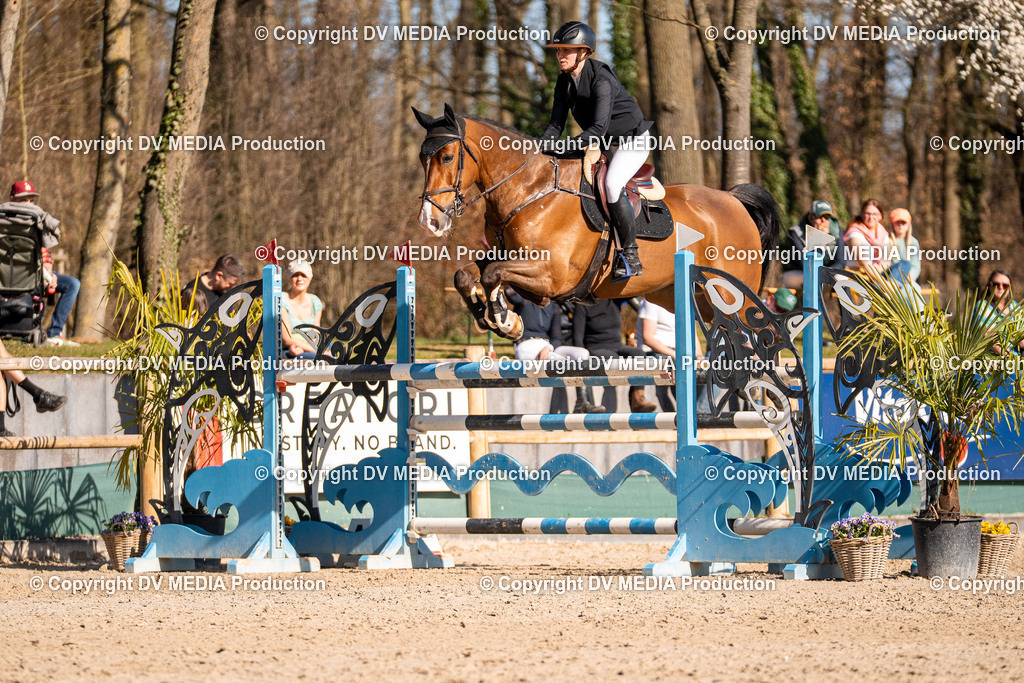 Kranichstein Tag 2-1001 | dv-media-shop - Realisiert mit Pictrs.com