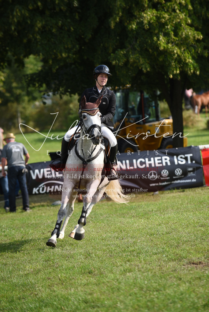 DSC_8731 | Pferde- und Turnierfotografie in Westsachsen. Pferdeportraits, Auftragszeichnungen und intuitive Kunst.