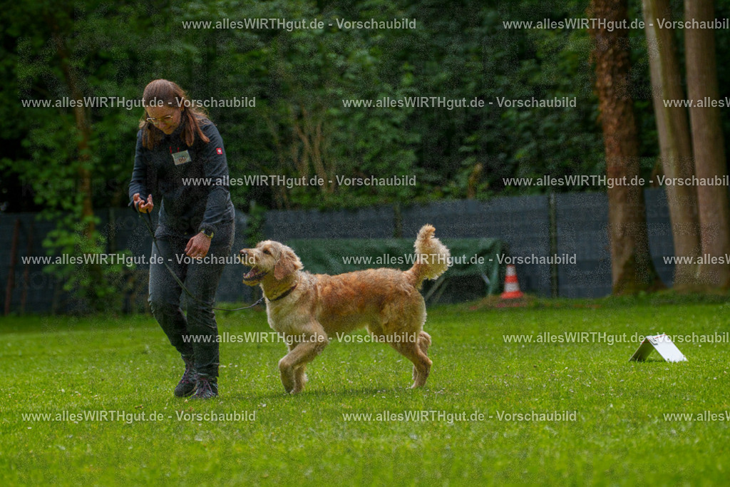 @allesWIRTHgut_Tierfotografie - www.allesWIRTHgut.de - 7R501614 | Professionelle Tierfotografie in Mönchengladbach von Daniel Wirth (allesWIRTHgut). Liebevolle & natürliche Bilder von Hunden & Katzen für unvergessliche Erinnerungen.