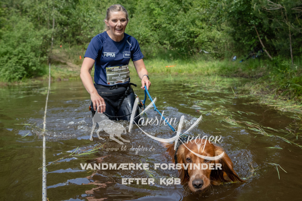 1214DKK992291 | kk-dogfotos