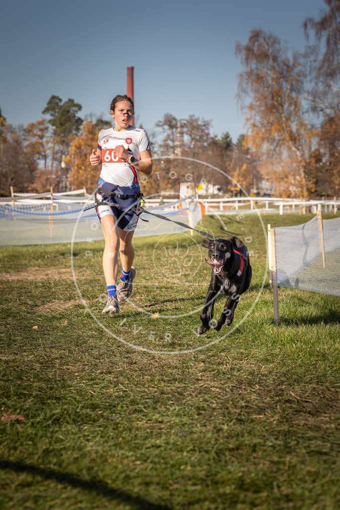 CaniXpix_0L8A8535 | Hundefotografie, Tierfotograf, Pfotenfotografie, Fotoshooting Hund, Hunde Portrait, Hundesport, Hundeportraits, Heideshooting, Hunde, Sportfotograf, Hundefotograf, Turnierhundsport, THS,  - Realisiert mit Pictrs.com