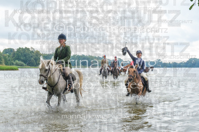 Jagd Perdoel_MarinaHewigDSCF3685 | Fotografie, FotoArt, PferdesportArt, Pferdesportfotografie, Landschaftsfotografie, Reisefotografie, Reise, Pferde - Realisiert mit Pictrs.com