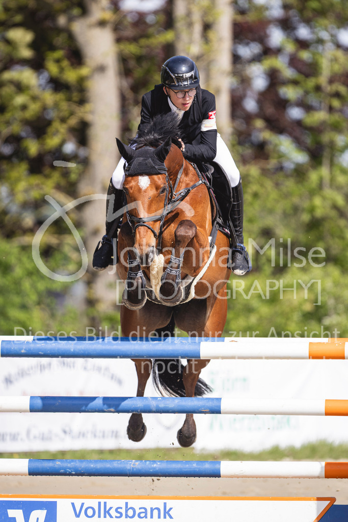 260503_Spenge_7_M2-Spr-m-steig-Anf-731 | Deine schönsten Turniermomente als professionelle Fotos! Entdecke hochwertige Pferdesport-Fotografie im Online-Shop. Jetzt Fotos finden & bestellen!