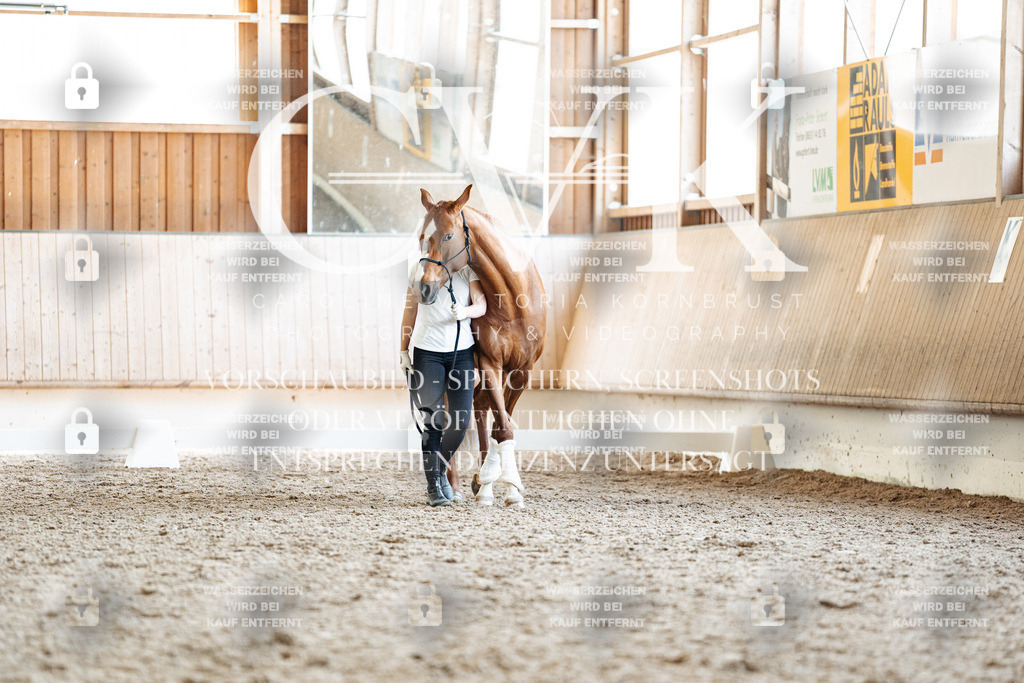 CK907643 | Turnierfotografie Pferdefotografie Trier Rheinland-Pfalz Pferdesport Reitsport Tierfotografie Sportfotografie Pferdevideo Pferdevideografie Equestrianvideography equestrianphotography  - Realisiert mit Pictrs.com