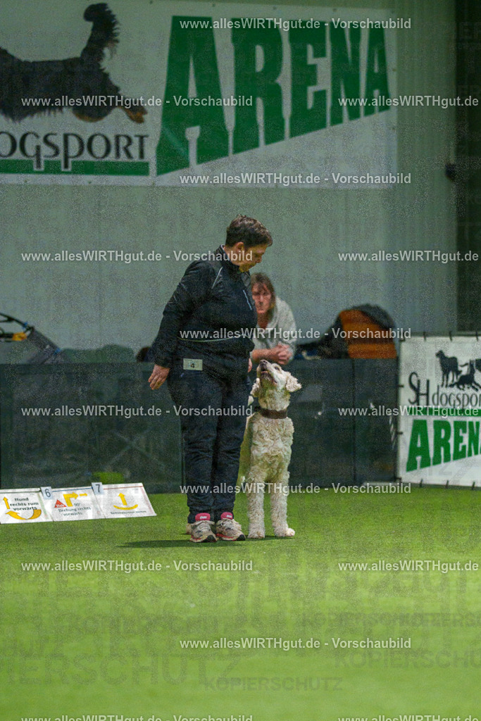 7R504278 | Professionelle Tierfotografie in Mönchengladbach von Daniel Wirth (allesWIRTHgut). Liebevolle & natürliche Bilder von Hunden & Katzen für unvergessliche Erinnerungen.