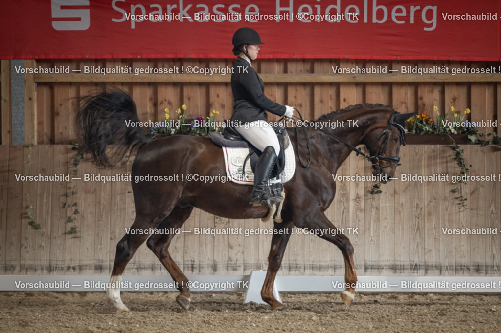 _D5A4437 | Emotionale Pferde- & People-Fotografie rund um Heidelberg, Leimen & Umgebung. Natürliche Fotos von Pferd, Mensch & Familie. Jetzt Termin sichern!