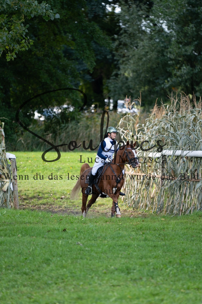 A7V03109 | Turnier/Reitfotograf