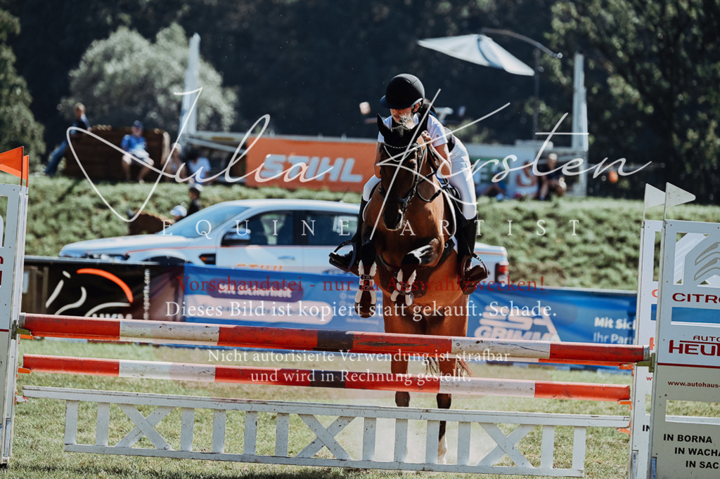 DSC_6136 | Pferde- und Turnierfotografie in Westsachsen. Pferdeportraits, Auftragszeichnungen und intuitive Kunst.