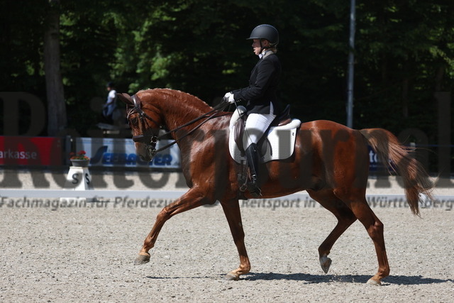 Ichenheim_2023_Prfg.Nr.09_Qualifikation zum Oldie-Cup_Tamara August_Delight Soul (3) | Alle Fotos der Reiterjournal Fotografin Doris Matthaes im Reiterjournal Online-Fotoshop. - Realisiert mit Pictrs.com