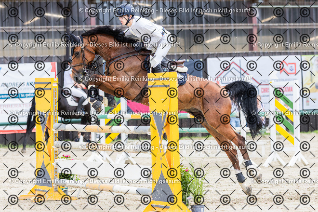 CL5A7571 | Emilia Reinking Fotografie - Realisiert mit Pictrs.com