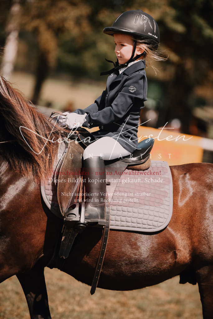 DSC_6203 | Pferde- und Turnierfotografie in Westsachsen. Pferdeportraits, Auftragszeichnungen und intuitive Kunst.