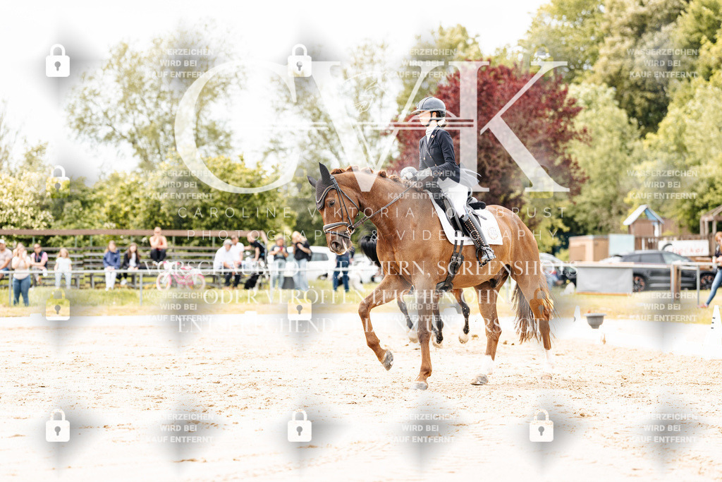 CK902888 | Turnierfotografie Pferdefotografie Trier Rheinland-Pfalz Pferdesport Reitsport Tierfotografie Sportfotografie Pferdevideo Pferdevideografie Equestrianvideography equestrianphotography  - Realisiert mit Pictrs.com