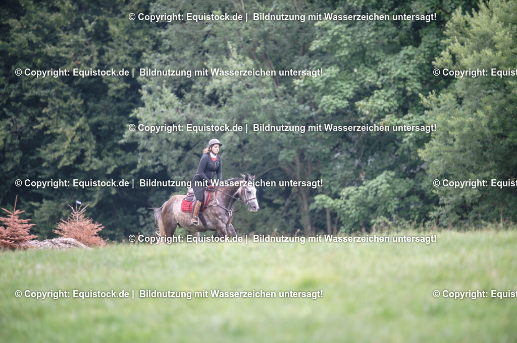 20250726_Vielseitigkeitslehrgang-Marbach_0275 | Foto: Thomas Hartig