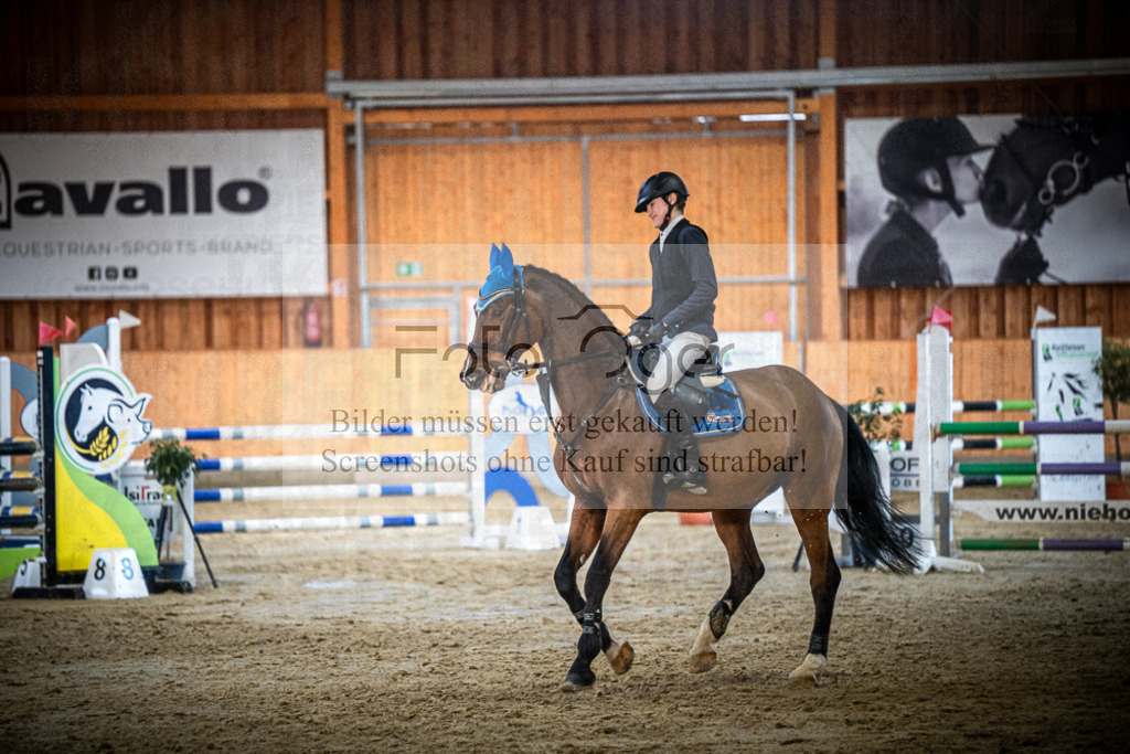 DOS_1509 | Entdecke hochwertige Reitturnierfotos von Foto Oger. Professionell, emotional und authentisch – jetzt Lieblingsmomente im Shop bestellen.Deutschlandweite Turnierfotografie. - Realisiert mit Pictrs.com