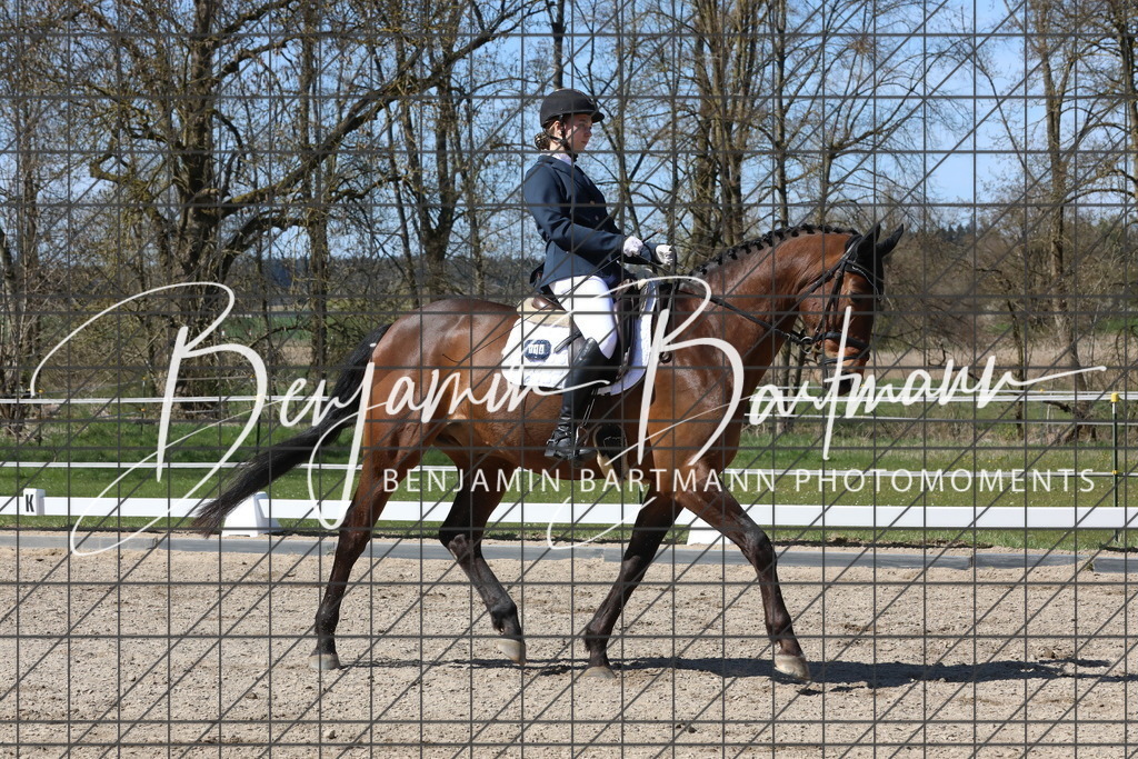 AZ2A4498 | Benjamin Bartmann Photomoments