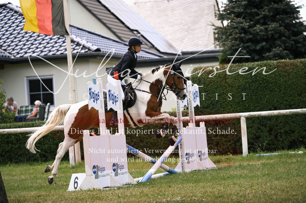 DSC_9350 | Pferde- und Turnierfotografie in Westsachsen. Pferdeportraits, Auftragszeichnungen und intuitive Kunst.