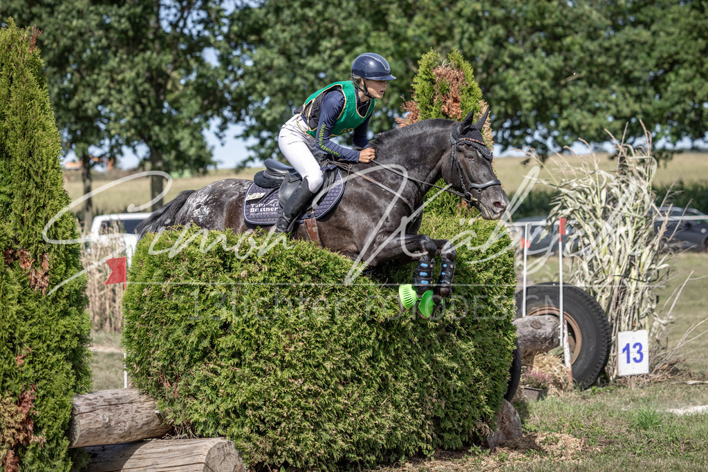 20250907-_3LI0836 | Tierfotografie Pferde, Hunde, Katzen, Haustiere.
Turnierfotografie Reitturniere, Reiten, Springreiten, Dressur in Hanau, dem Main-Kinzig-Kreis und dem Rhein-Main- Gebiet um Frankfurt