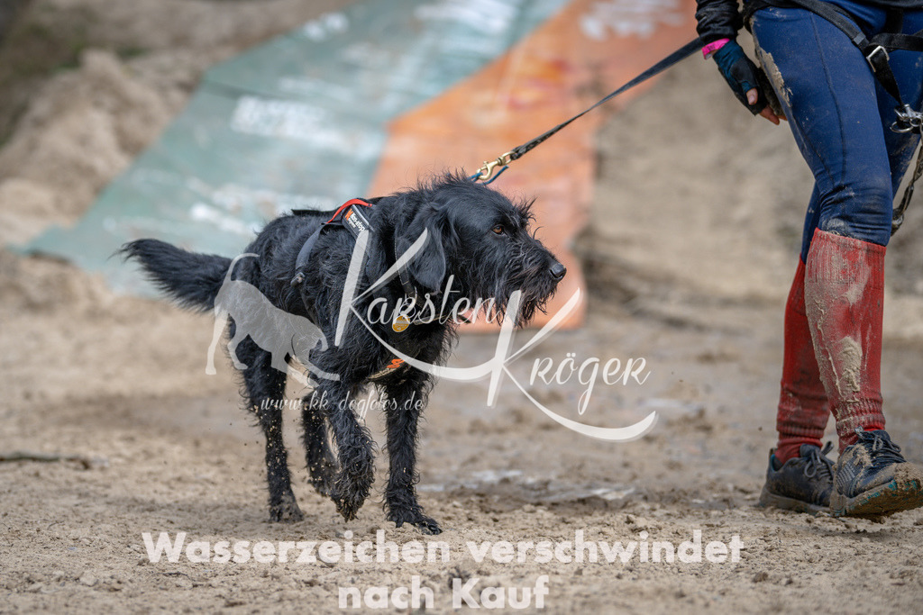 1226DSC_1678 | kk-dogfotos