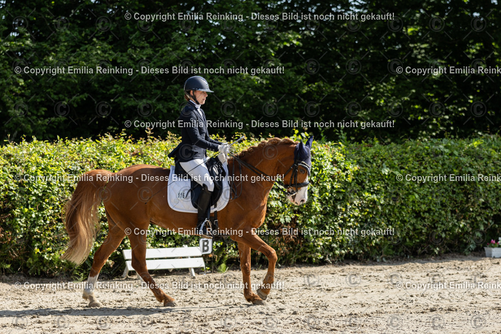 CL5A7200 | Emilia Reinking Fotografie - Realisiert mit Pictrs.com