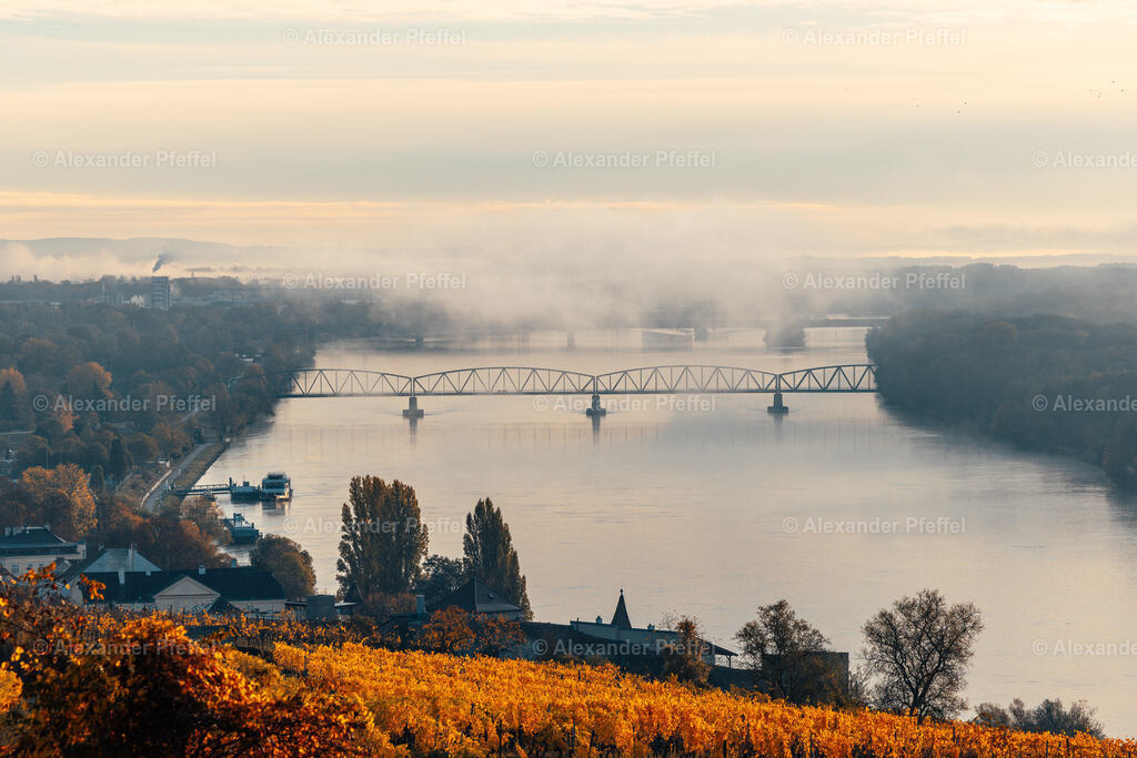 foto_c_pfeffel-partner-0097-R52_0341 | alexander-pfeffel - Realisiert mit Pictrs.com