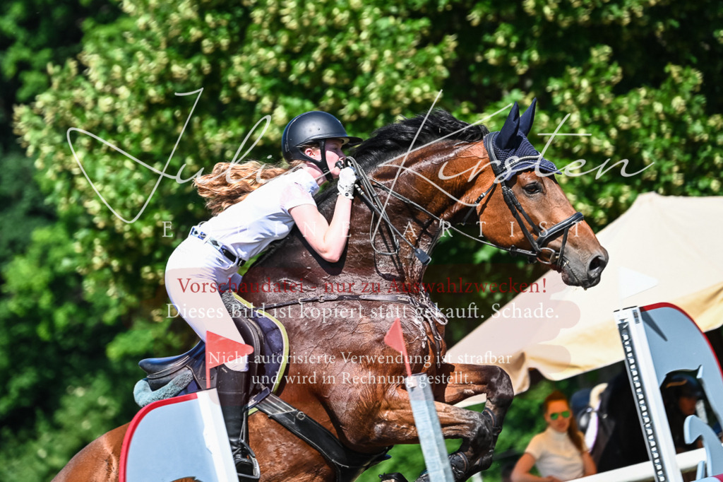 DSC_1699 | Pferde- und Turnierfotografie in Westsachsen. Pferdeportraits, Auftragszeichnungen und intuitive Kunst.