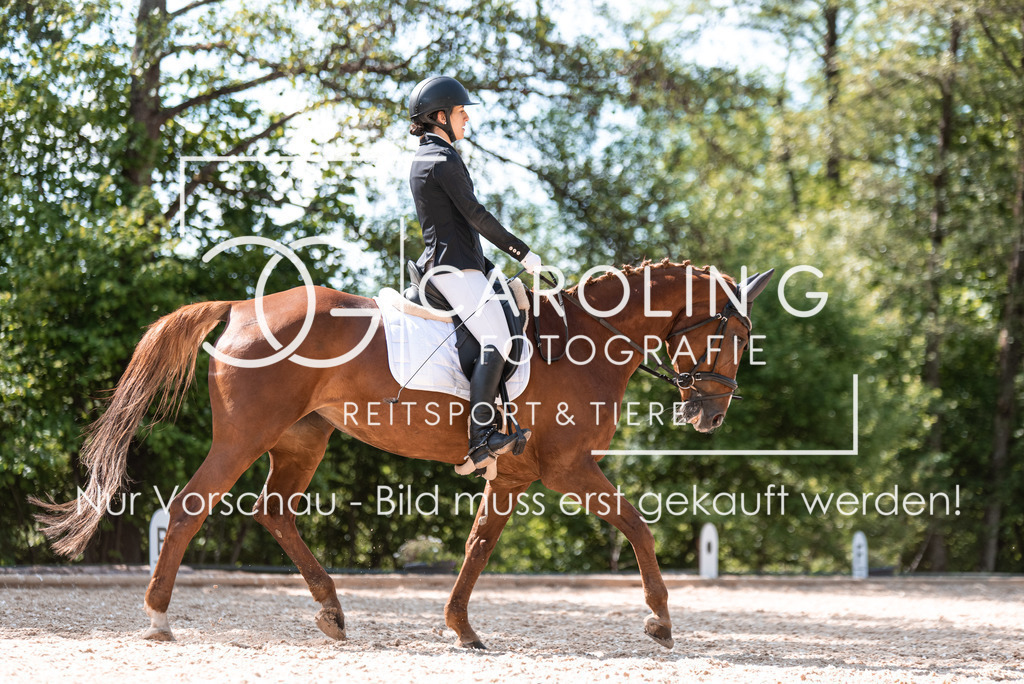 DSC_9302 | Turnierfotografin Carolin Gieschke, Turnierfotografie Carolin G Fotografie, Turnierfotos Kirchheim/Teck, Esslingen, Stuttgart, Bodenseekreis