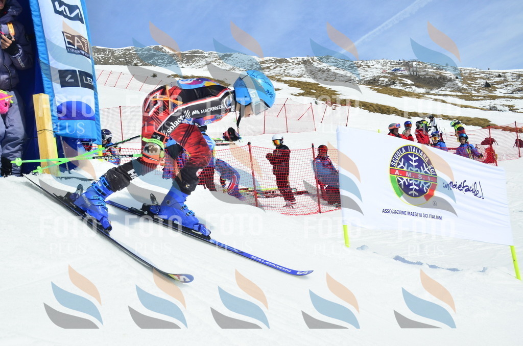 _ELE1682 | holidayphoto