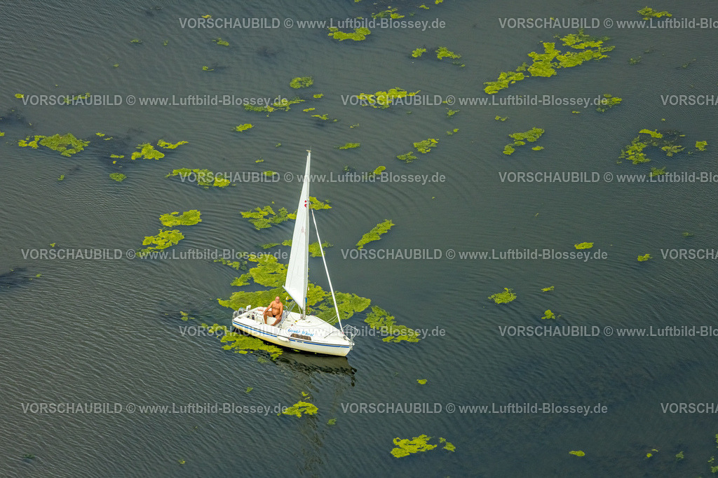 Witten240711196KemnaderSee | Luftbild, Kemnader Stausee mit Elodea, Wasserpest, Algenblüte, Segelboote und Stand-Up Paddeler, Witten, Nordrhein-Westfalen, Deutschland