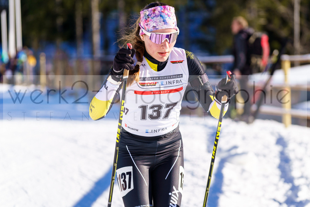 DSC Notschrei | 2. DSV E.INFRA Schülercup im Nordic-Center Notschrei am 17. bis 19. Januar 2025