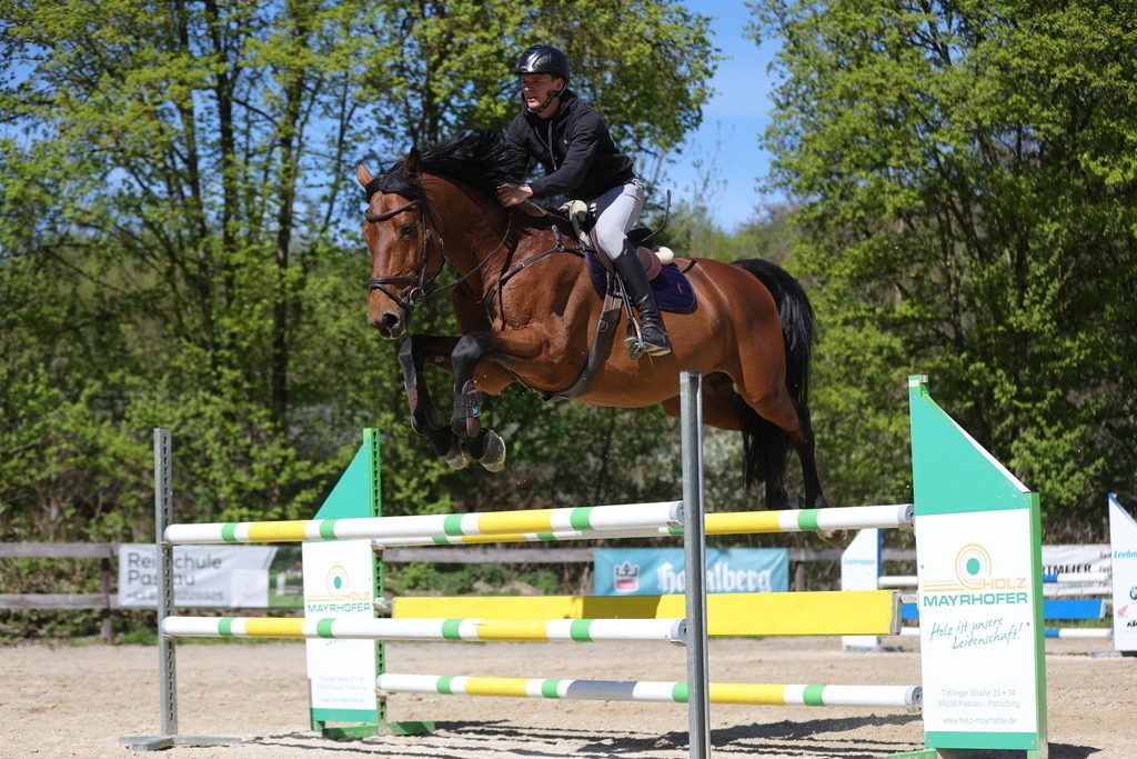 0P6A8166 | Willkommen bei Brunnmayr - Design & Fotografie – Ihrem Spezialisten für Reitturniere und Pferdeveranstaltungen in Oberösterreich, Salzburg und Bayern! Seit über 17 Jahren sind wir leidenschaftlich dabei.