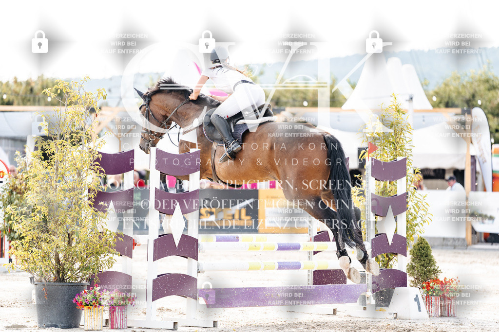 CK906408 | Turnierfotografie Pferdefotografie Trier Rheinland-Pfalz Pferdesport Reitsport Tierfotografie Sportfotografie Pferdevideo Pferdevideografie Equestrianvideography equestrianphotography  - Realisiert mit Pictrs.com