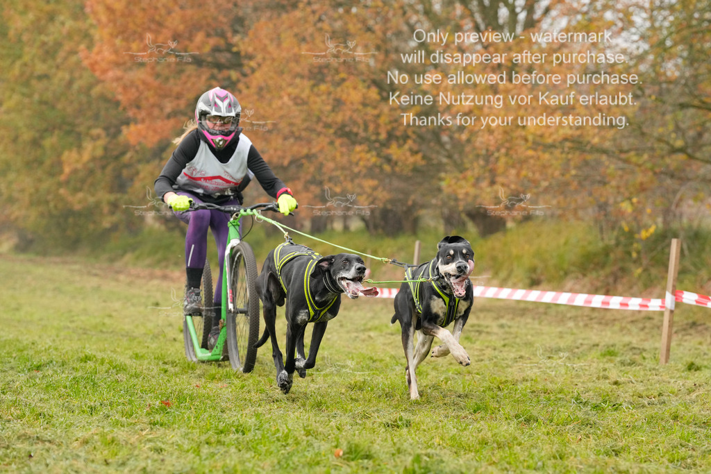 Visbeck_Sa_DS2DR2-56 | stephaniefillaphotographie - Realisiert mit Pictrs.com