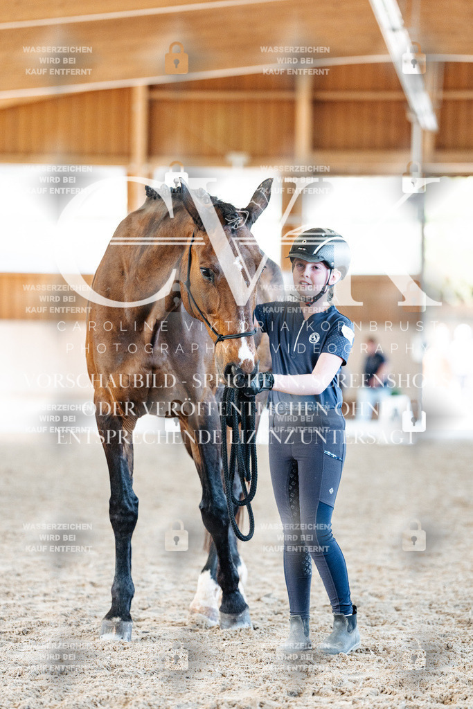 CK906485 | Turnierfotografie Pferdefotografie Trier Rheinland-Pfalz Pferdesport Reitsport Tierfotografie Sportfotografie Pferdevideo Pferdevideografie Equestrianvideography equestrianphotography  - Realisiert mit Pictrs.com