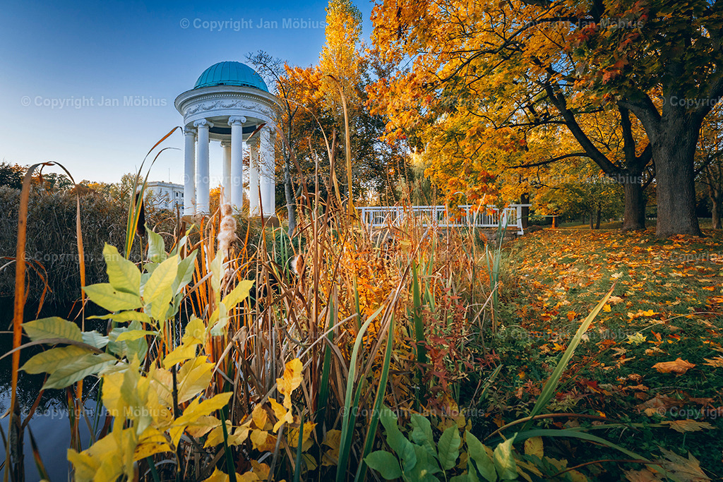 _DSC7782 | Leipzig Wandbilder Drucke Prints Leinwand Stadtmotive Leipzig Fotosdruck Kunstdrucke Bilder Leipzig Stadtansichten Acrylglasbilder Leipzig Wanddeko Fine Art Prints Wandbilder Büro Leipzig Bilder Praxis Zuhause Bilderdruck Poster Posterlounge Kunstdrucke - Realisiert mit Pictrs.com