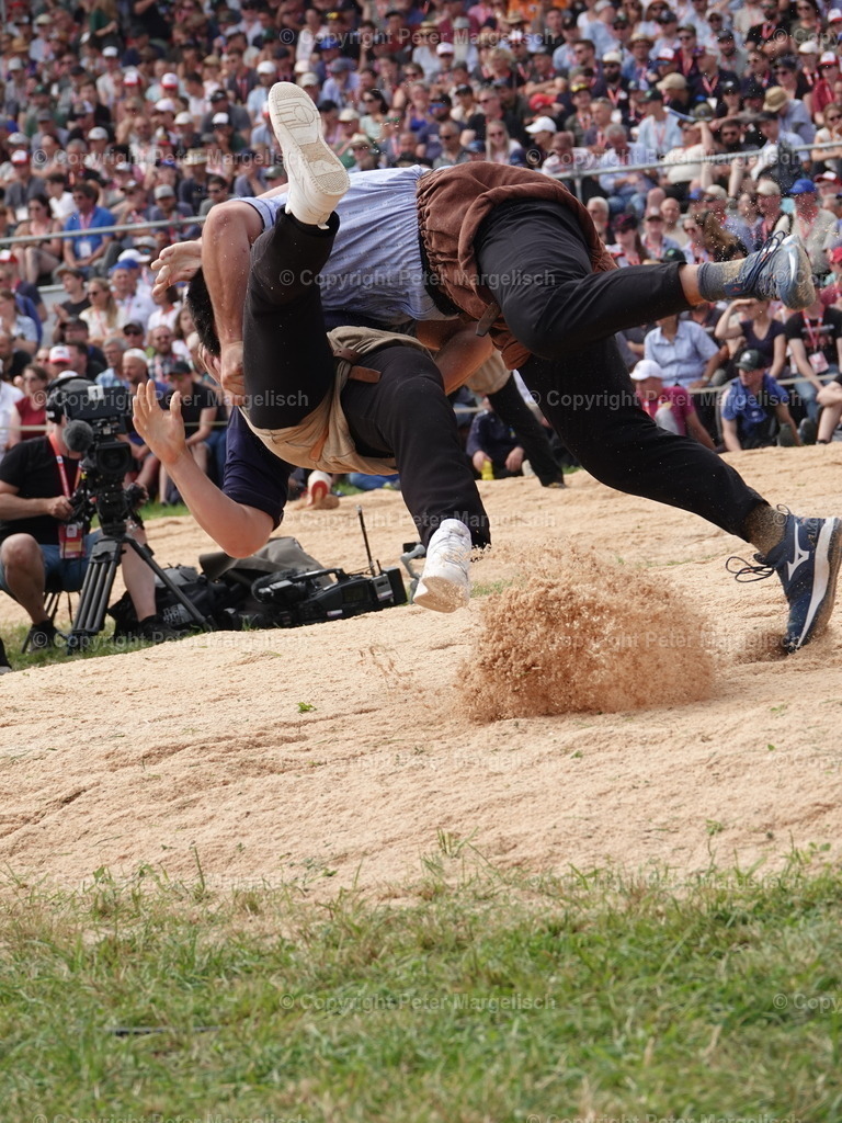 DSC05068 | Schwingen - Realisiert mit Pictrs.com