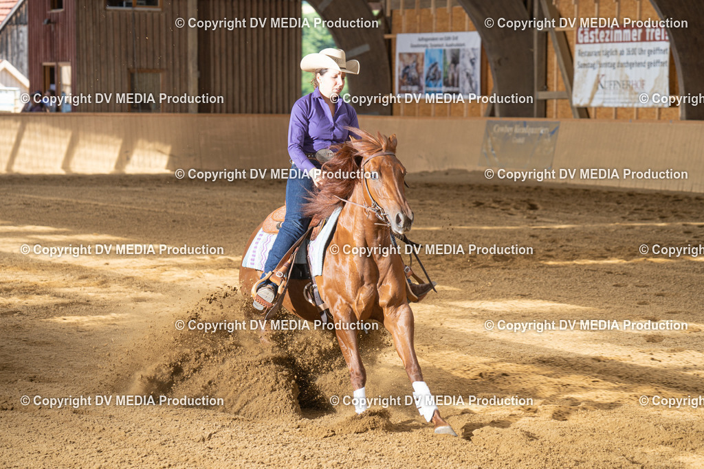 DSC00033 | dv-media-shop - Realisiert mit Pictrs.com