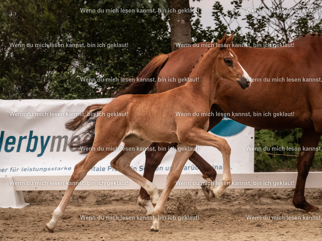 A10I5732 | photographylinaismer - Realisiert mit Pictrs.com