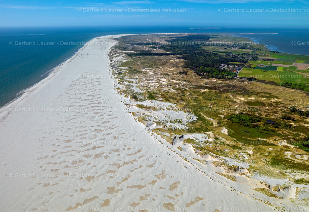 3091337 | Amrum, Nationalpark Schleswig-Holsteinisches Wattenmeer