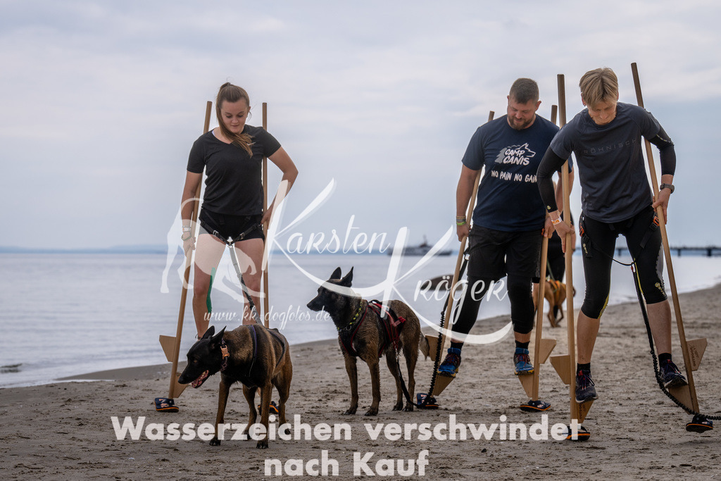 1215_ZZ90533 | kk-dogfotos