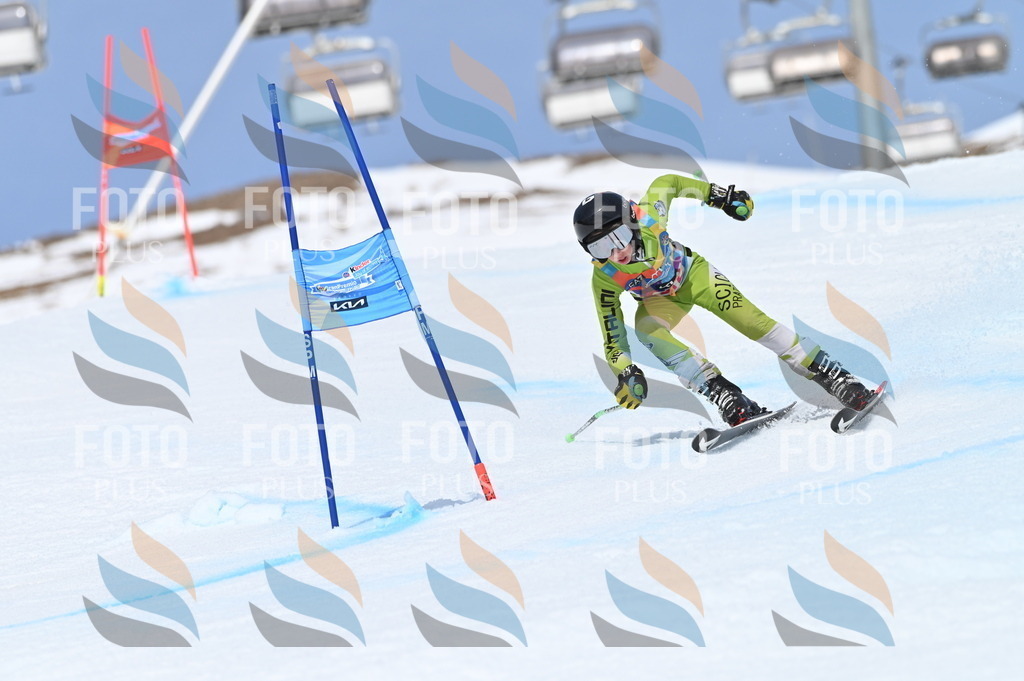 BGV_2987 | holidayphoto