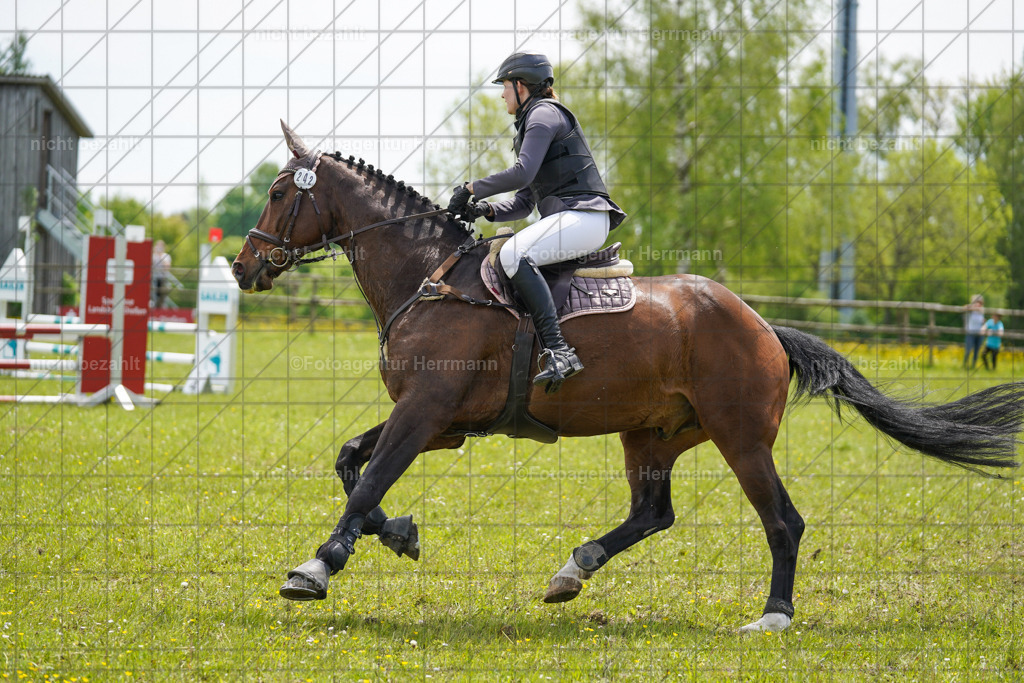 20230521-FAH06300 | Frühjahrsturnier, Landsberg am Lech, 2023, Reitclub Landsberg, Turnierbilder, Fotos Turnier Landsberg, Fotoagentur Herrmann, Turnierfotografen Bayern, Reitsport Fotograf, Pferde Fotograf