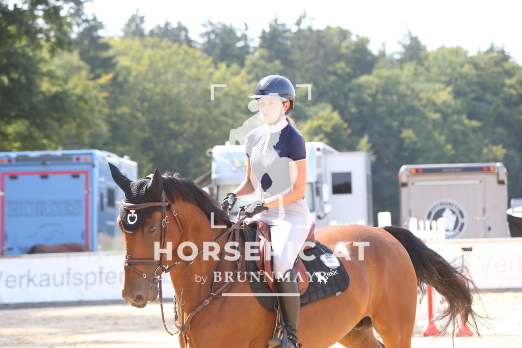 DL2Q1679 | Willkommen bei Brunnmayr - Design & Fotografie – Ihrem Spezialisten für Reitturniere und Pferdeveranstaltungen in Oberösterreich, Salzburg und Bayern! Seit über 17 Jahren sind wir leidenschaftlich dabei.