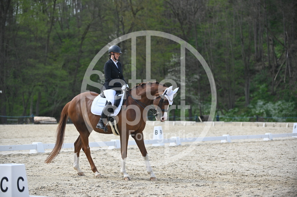 DSC_4720 | sattelsport - Realisiert mit Pictrs.com