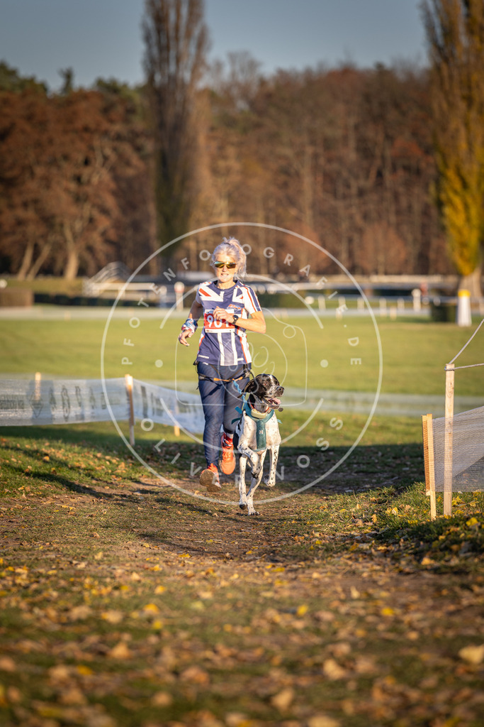 CaniXpix_DV3A4602 | Hundefotografie, Tierfotograf, Pfotenfotografie, Fotoshooting Hund, Hunde Portrait, Hundesport, Hundeportraits, Heideshooting, Hunde, Sportfotograf, Hundefotograf, Turnierhundsport, THS,  - Realisiert mit Pictrs.com