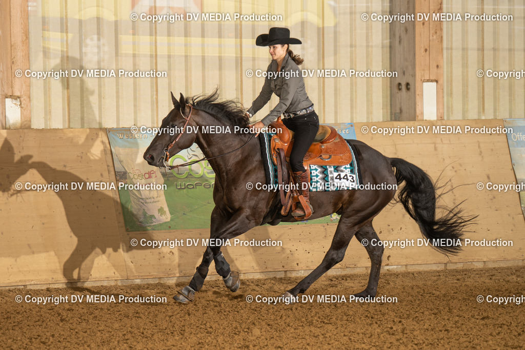 LAU00500 | dv-media-shop - Realisiert mit Pictrs.com