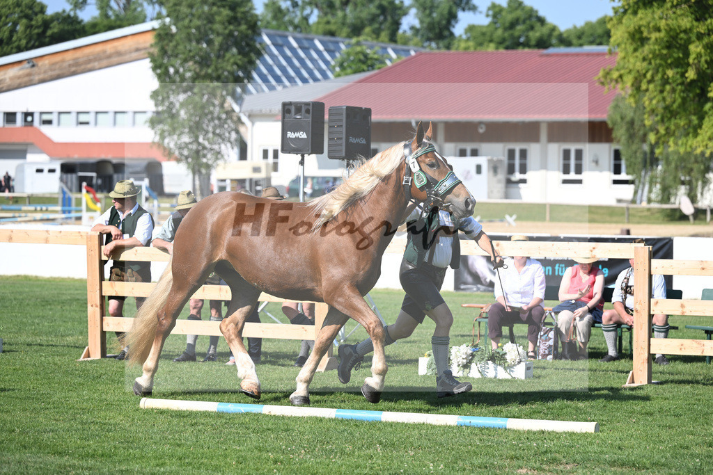Kat-Nr. 7 Marie_Hartl_20230098 | hf-fotografie - Realisiert mit Pictrs.com